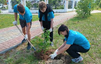 Югорчане приняли участие в эстафете высадки деревьев «Сад дружбы»