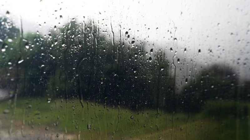 Ветер до 27 метров в секунду и сильный дождь: в Югре объявили штормовое предупреждение