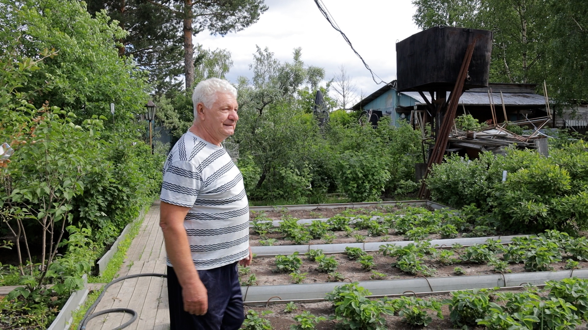 Три Виктора, одна победа