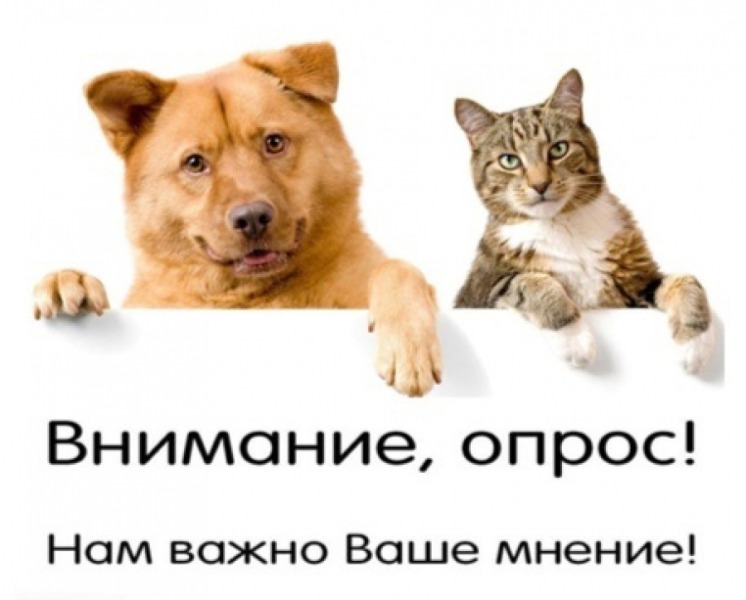 «Информирование об уходе домашними животными и качество оказания ветеринарных услуг в Югре»