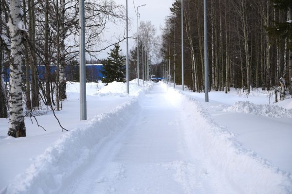 Более 12 тысяч кубов вывезли коммунальщики с улиц Югорска за 5 дней