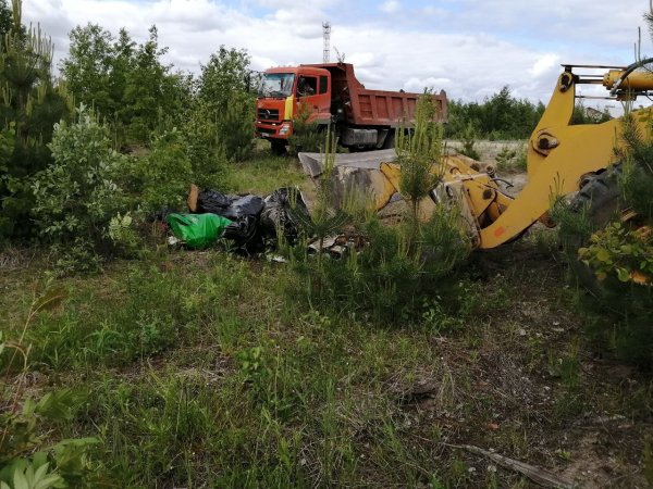 Югорчане вновь вышли на субботник