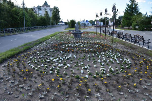 В Югорске высадили 27,5 тысяч цветов