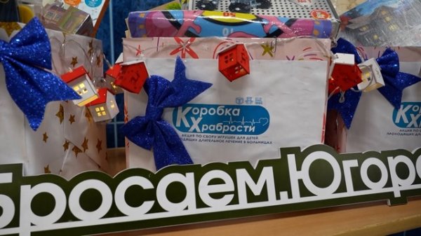 Депутаты и сторонники местного отделения партии «Единая Россия» присоединились к акции «Коробка храбрости»