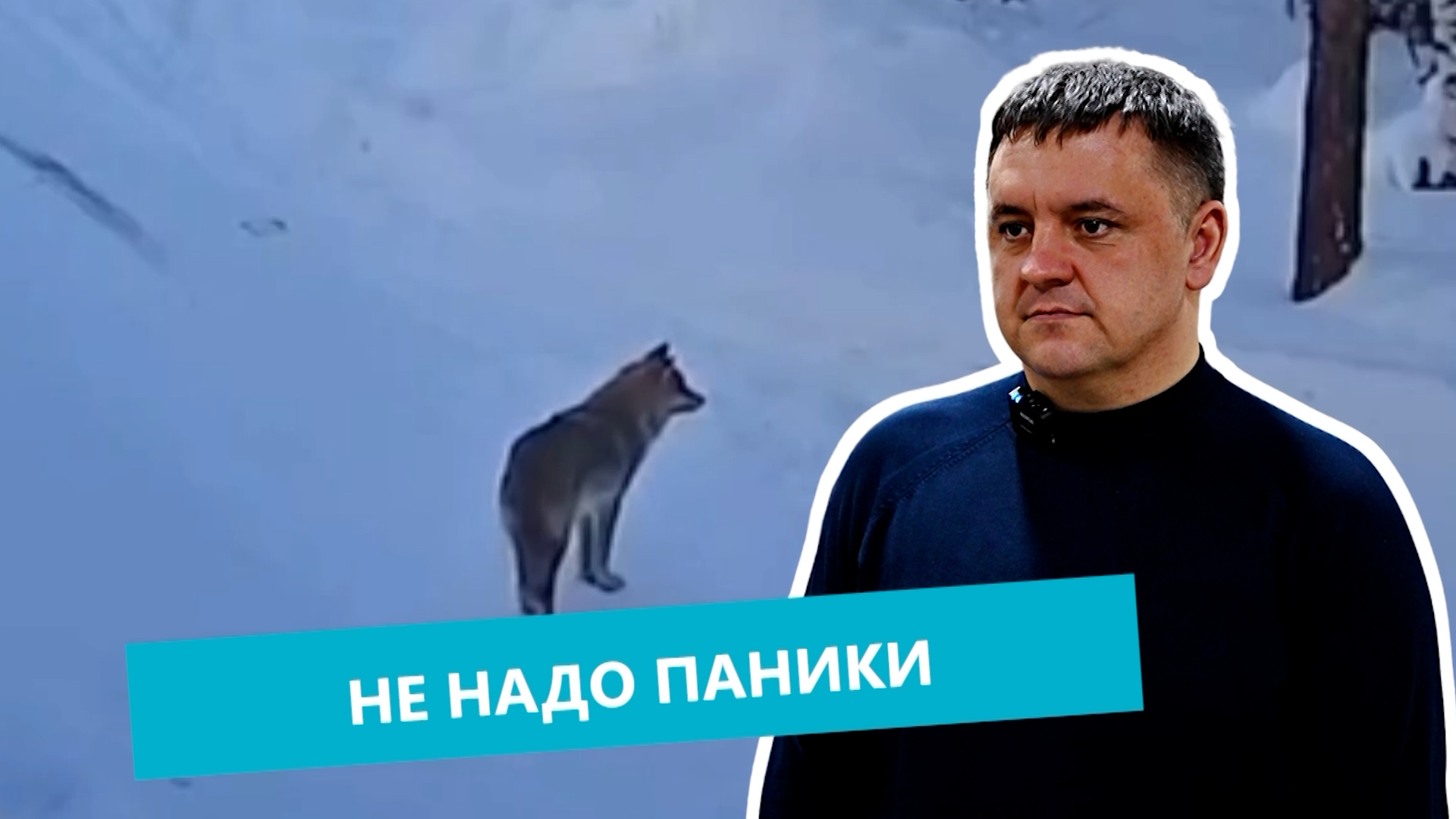 На надо паники