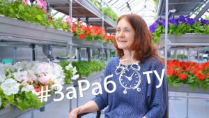 За работу. Цветы