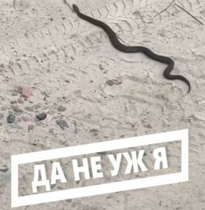Да не уж я