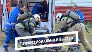 Профессионально и быстро