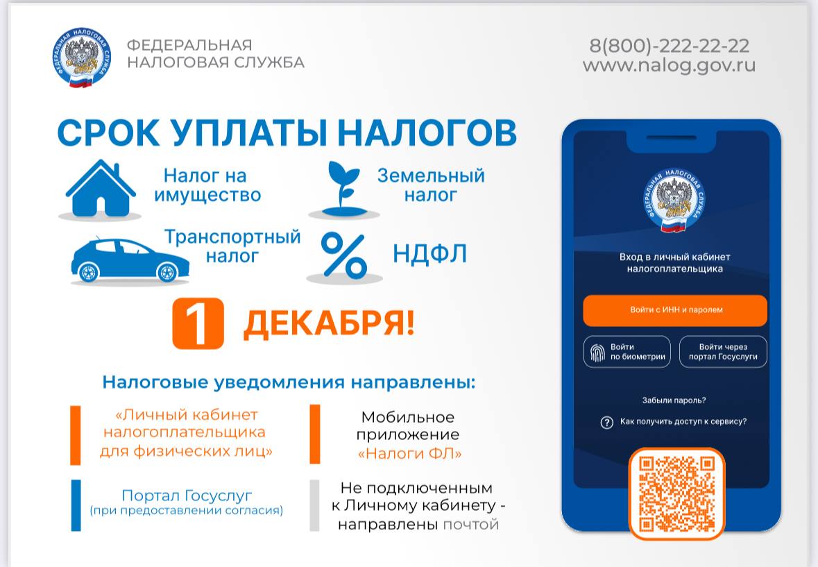 Не забудьте оплатить налоги до 1 декабря.